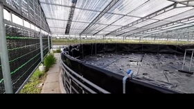 工厂化高密度水产养殖,铁仓刀刮布高位池排污系统之增氧型鱼马桶安装