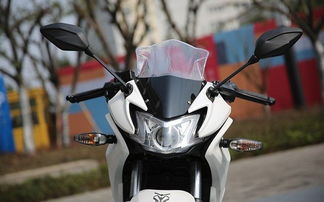 国产仿赛等于地平线 你家地平线这么牛x