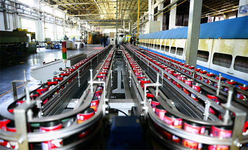 食品厂生物质蒸汽锅炉在哪里买 生物质蒸汽锅炉有什么特点