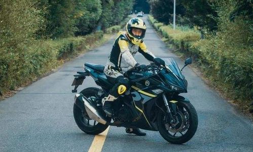 叫我地平线 诺马 搭载自主研发255cc双缸发动机，价格成最大亮点