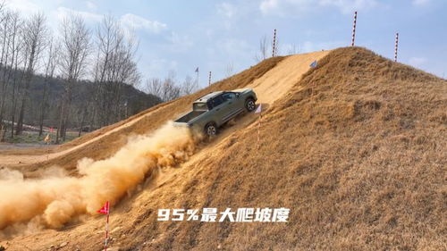 更适合国内市场的赛博皮卡？雷达地平线产品力解析